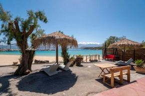 Sea and Sun Metaxy Mas, brand-new, beachfront !
